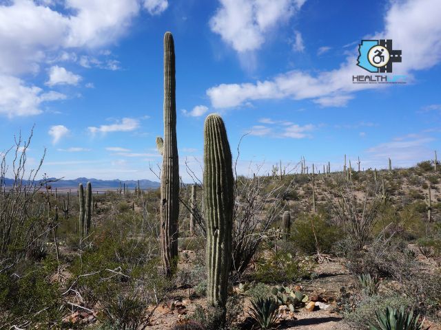 Accessible Hiking Trails Near Me: Arizona-Sonora Desert Museum